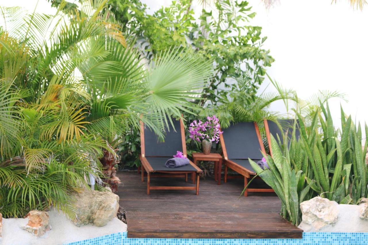New House Tropic Paradise With Pool يلمستاد المظهر الخارجي الصورة