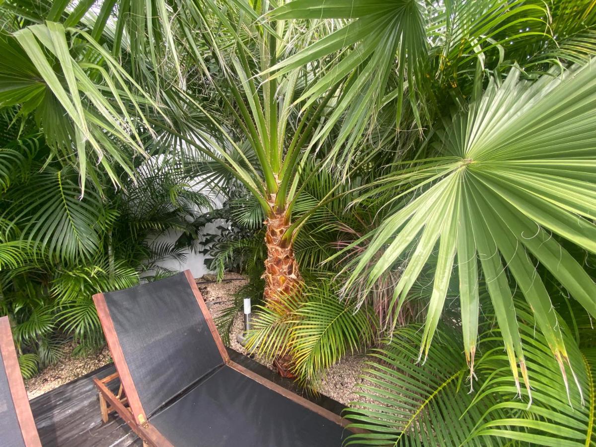 New House Tropic Paradise With Pool يلمستاد المظهر الخارجي الصورة